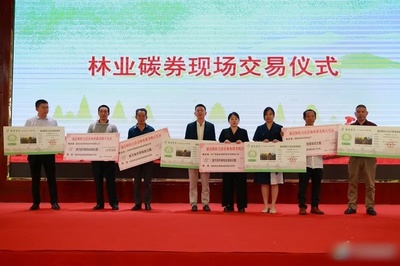 通道林農再獲一項權利！懷化市林地生態系統碳匯權證暨林業碳券在通道首發