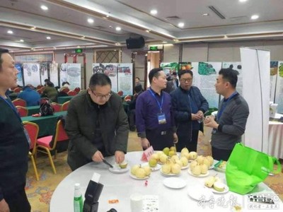 陽信鴨梨榮獲“全國綠色農(nóng)業(yè)十佳地標品牌”稱號，綠色農(nóng)業(yè)品牌價值再提升