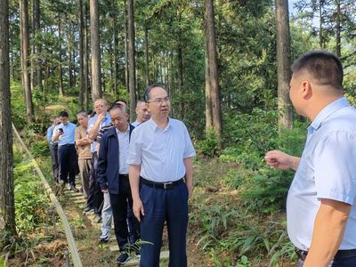 科技賦能，生態(tài)富民 福建省林業(yè)局領(lǐng)導(dǎo)赴福州、寧德調(diào)研林下經(jīng)濟(jì)與電子產(chǎn)品銷(xiāo)售新模式